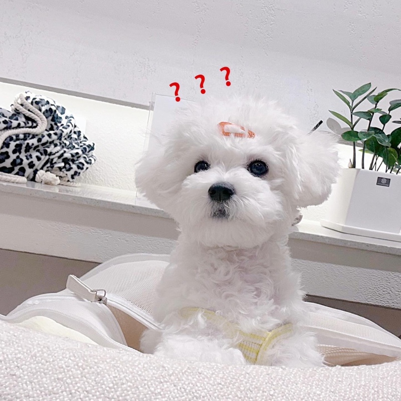 망망