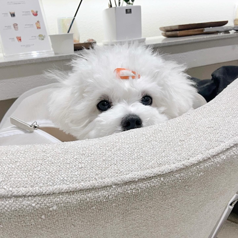 망망