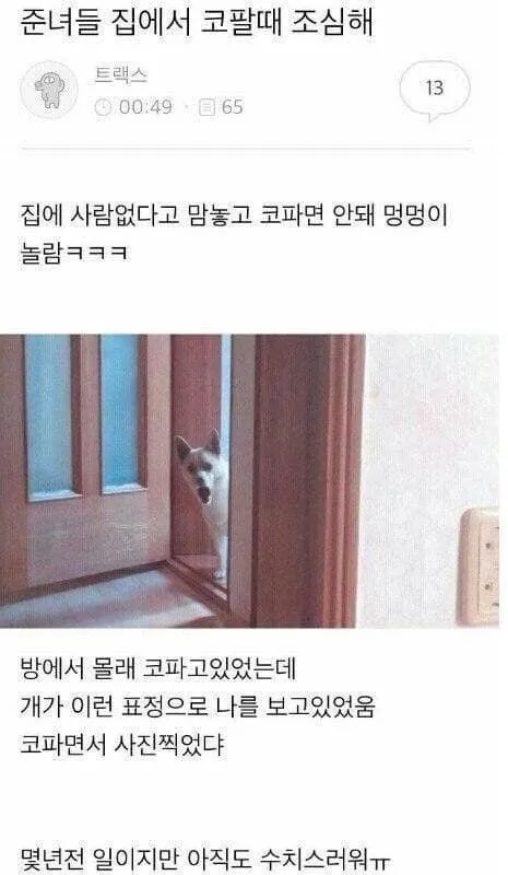 집에 사람 없다고 코 파면 안되는 이유