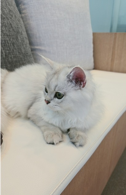 병원을 집처럼 편안하게~~