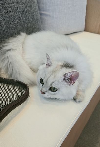 병원을 집처럼 편안하게~~
