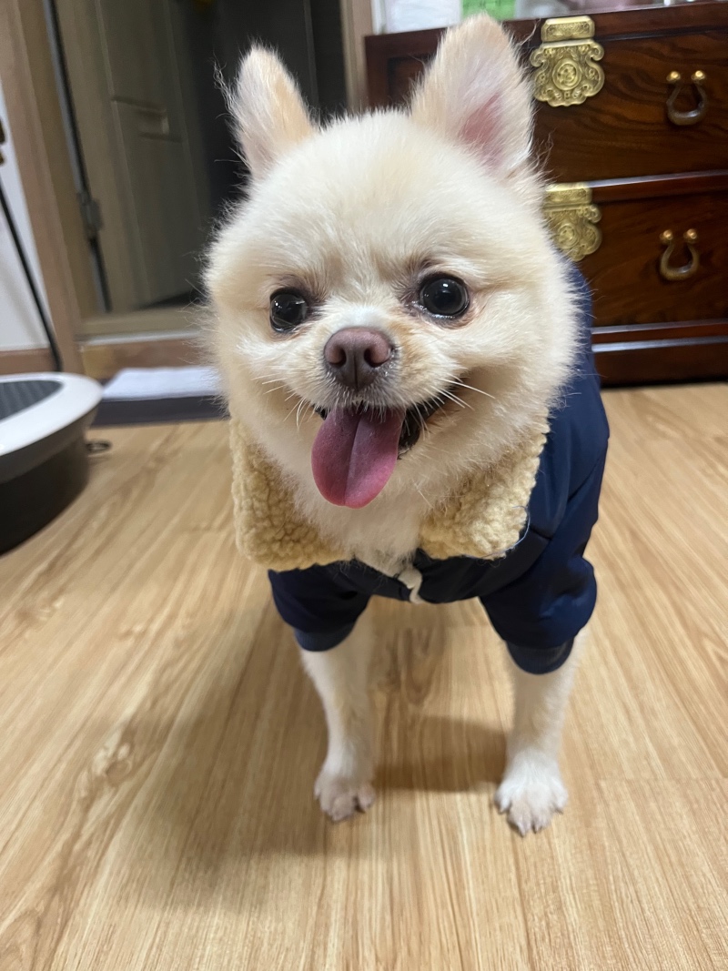 겨울준비 미리 패딩겟~~!