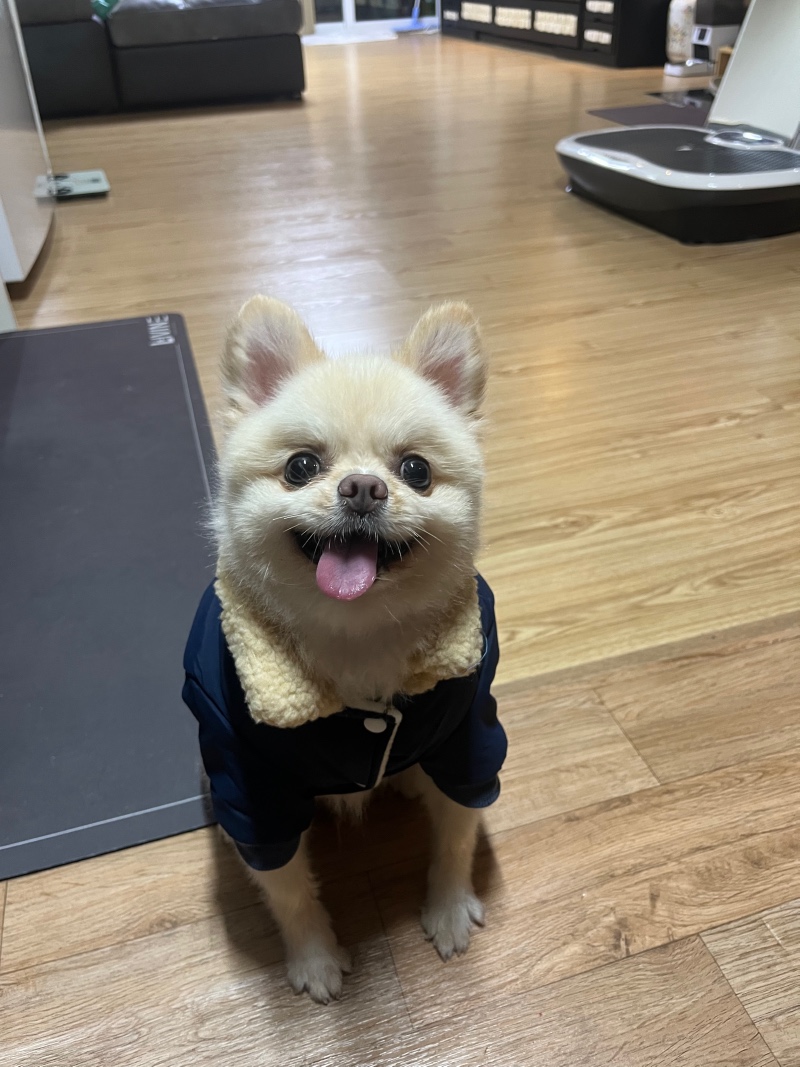 겨울준비 미리 패딩겟~~!