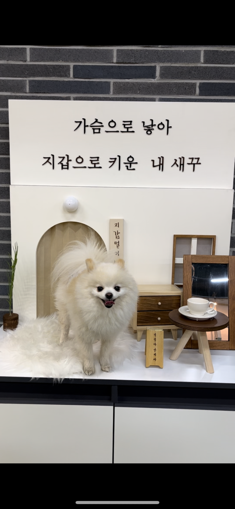 놀아보자~~