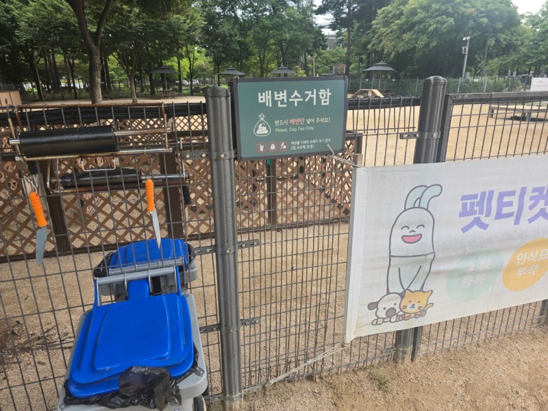 도심에서 즐기는 반려견운동장!! "월드컵공원 반려견놀이터"
