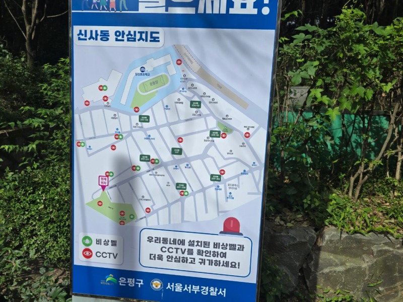 애견동반 가능한 등산로! "봉산 편백나무 치유의 숲"