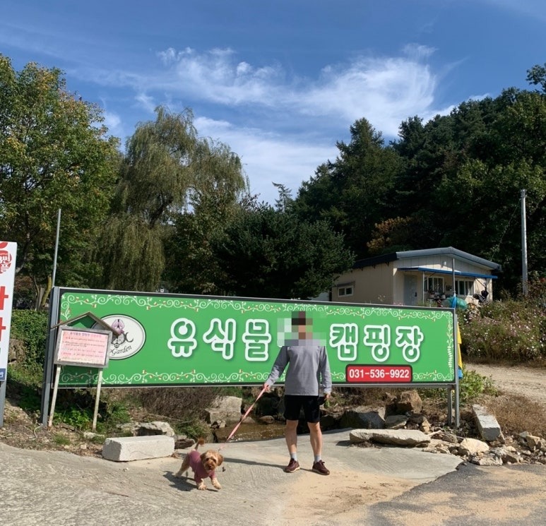 캠핑에 반려동물과 함께 하세요!! 애견동반 가능 "포천 유식물원 캠핑장"