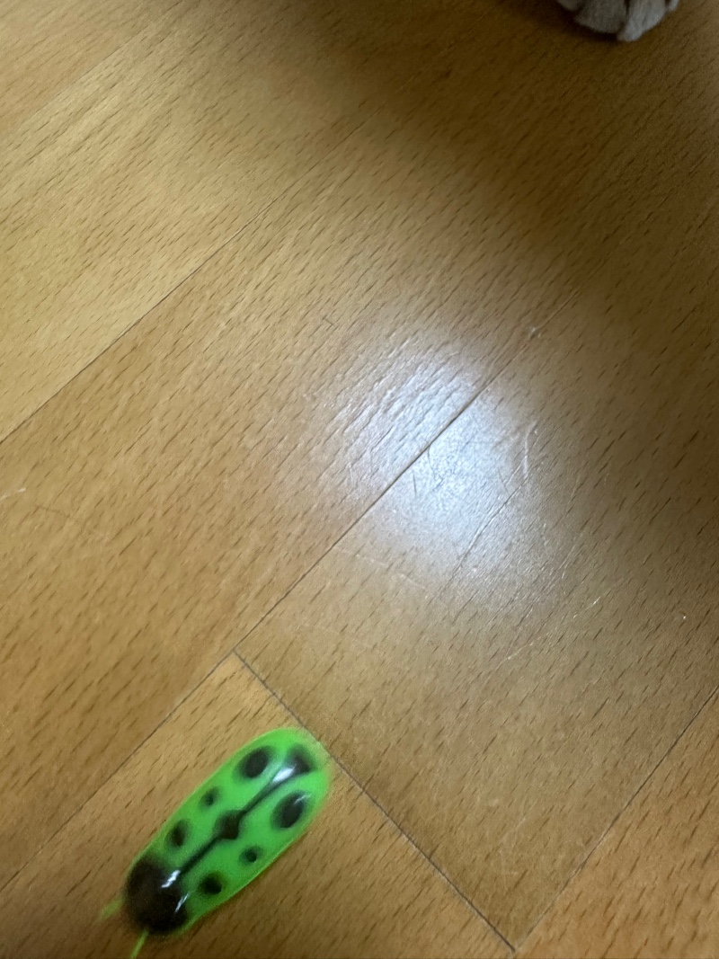 IMG_8990.jpeg