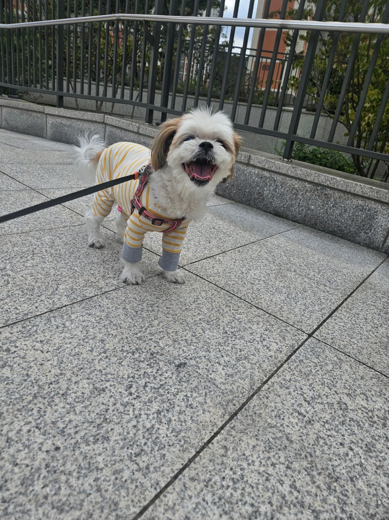 아직은 더워요