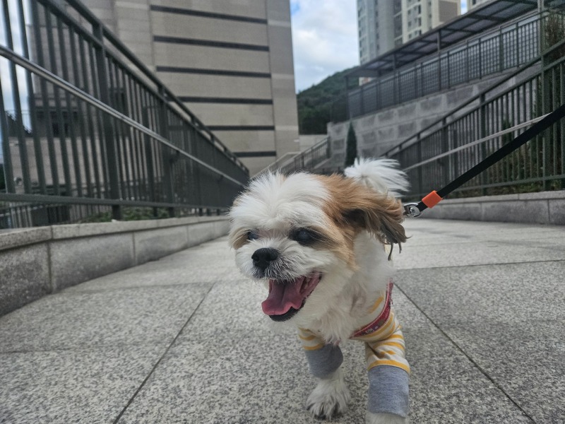 아직은 더워요
