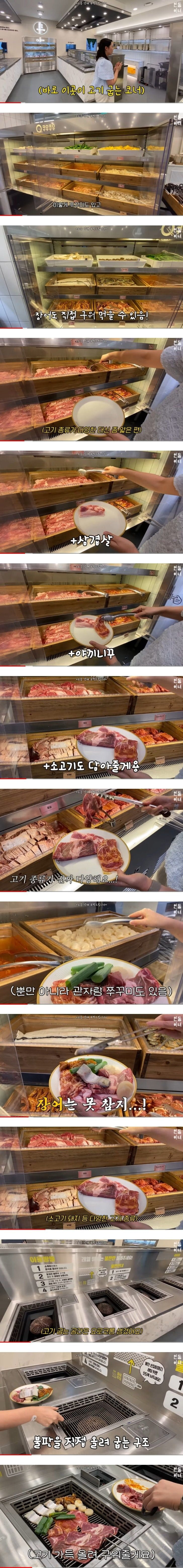 쿠우쿠우 근황