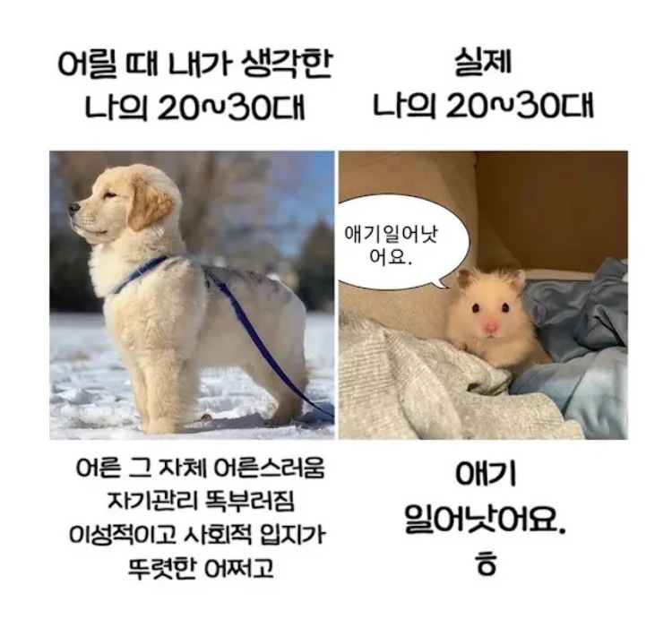 믿어 의심치 않았던 30대 마인드