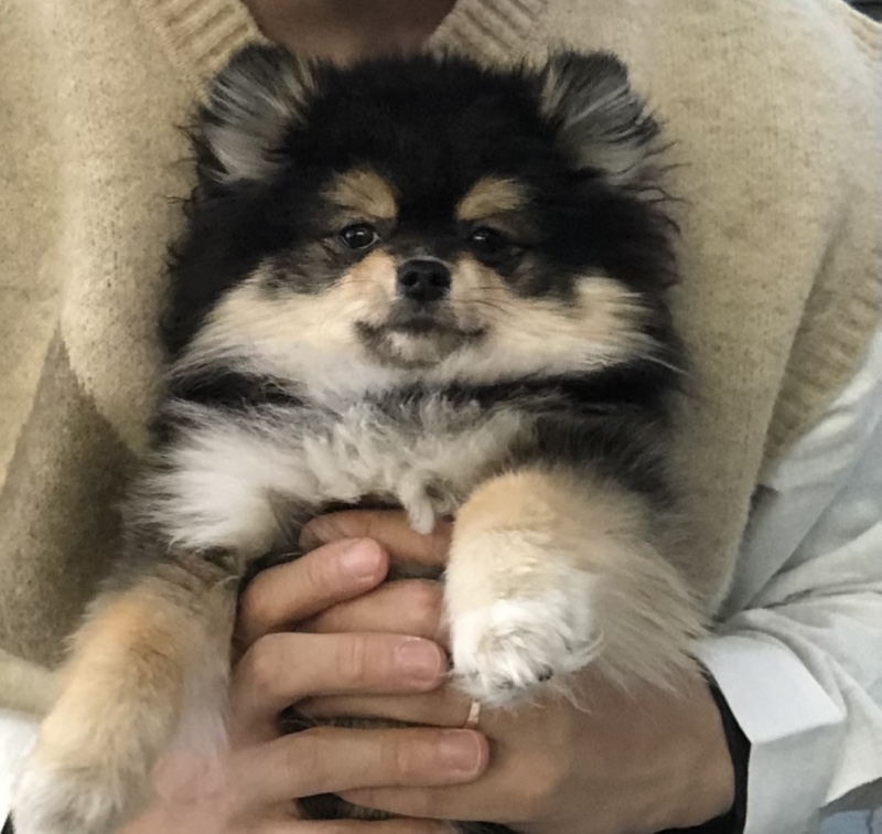 뭘 봐