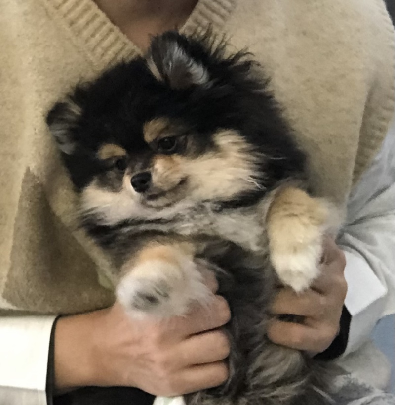 뭘 봐