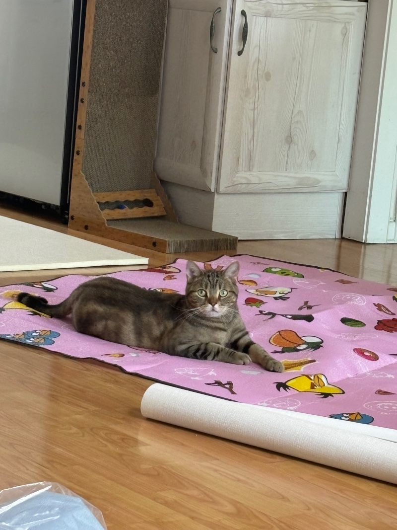 에옹