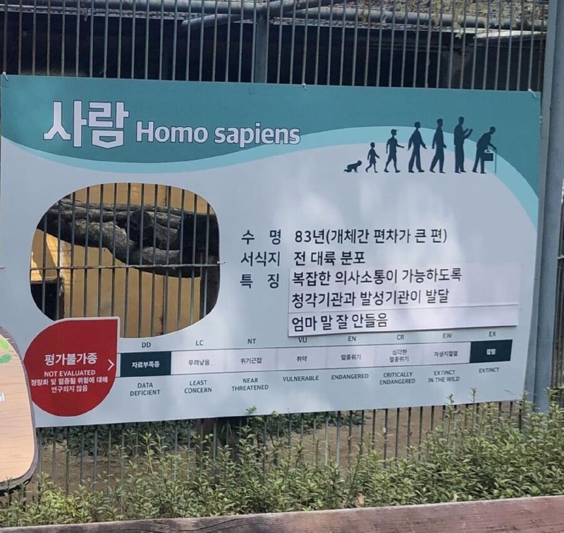 동물원에 있는 신기한 동물 