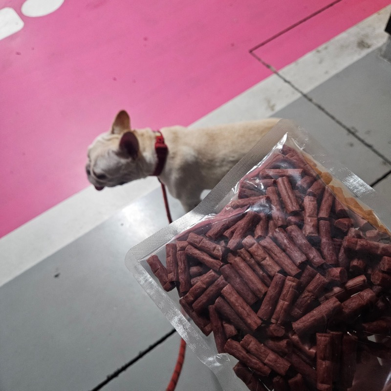 맥시플러스덕저키2.jpg