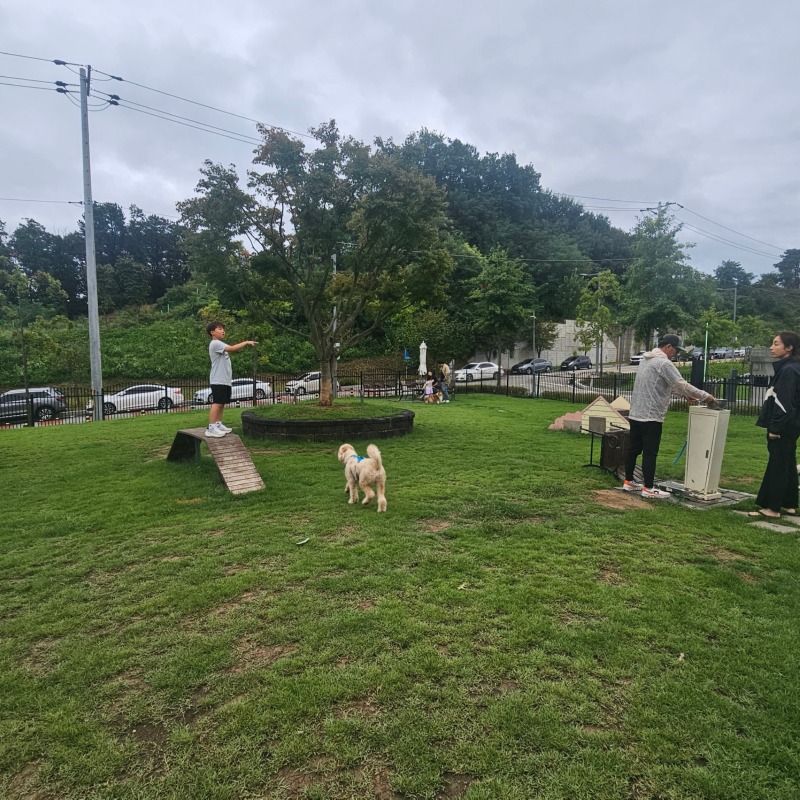기흥 아울렛 펫파크 반려견 놀이터 