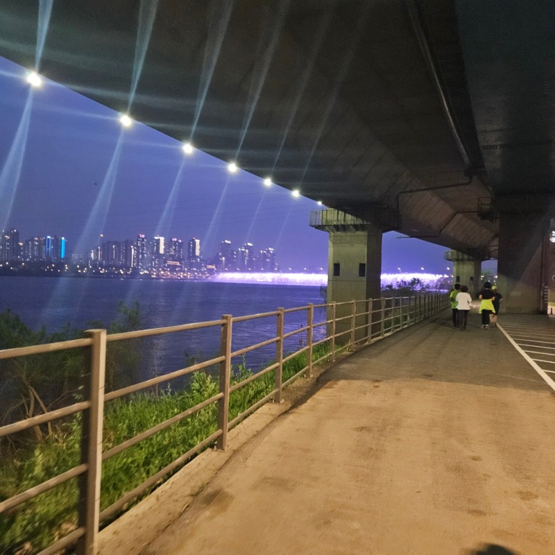 반포 한강공원 반려견 동반 산책