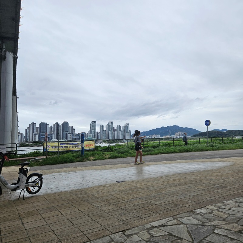 반포 한강공원 반려견 동반 산책