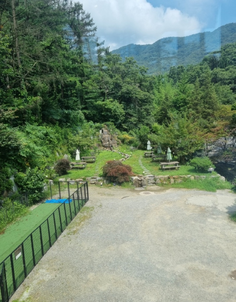 애견동반가능 로히메르시 카페 