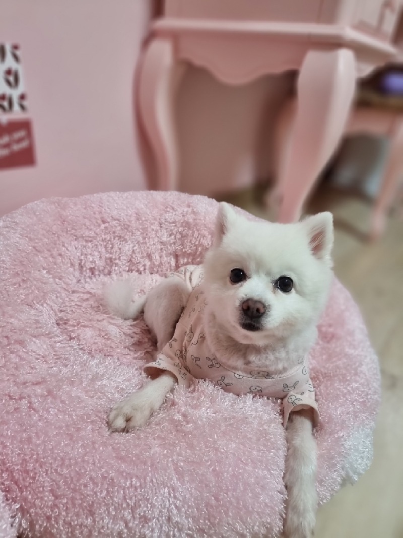 근접샷