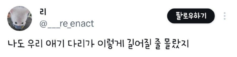 강아지 다리가 이렇게 길어질 줄 몰랐습니다. 