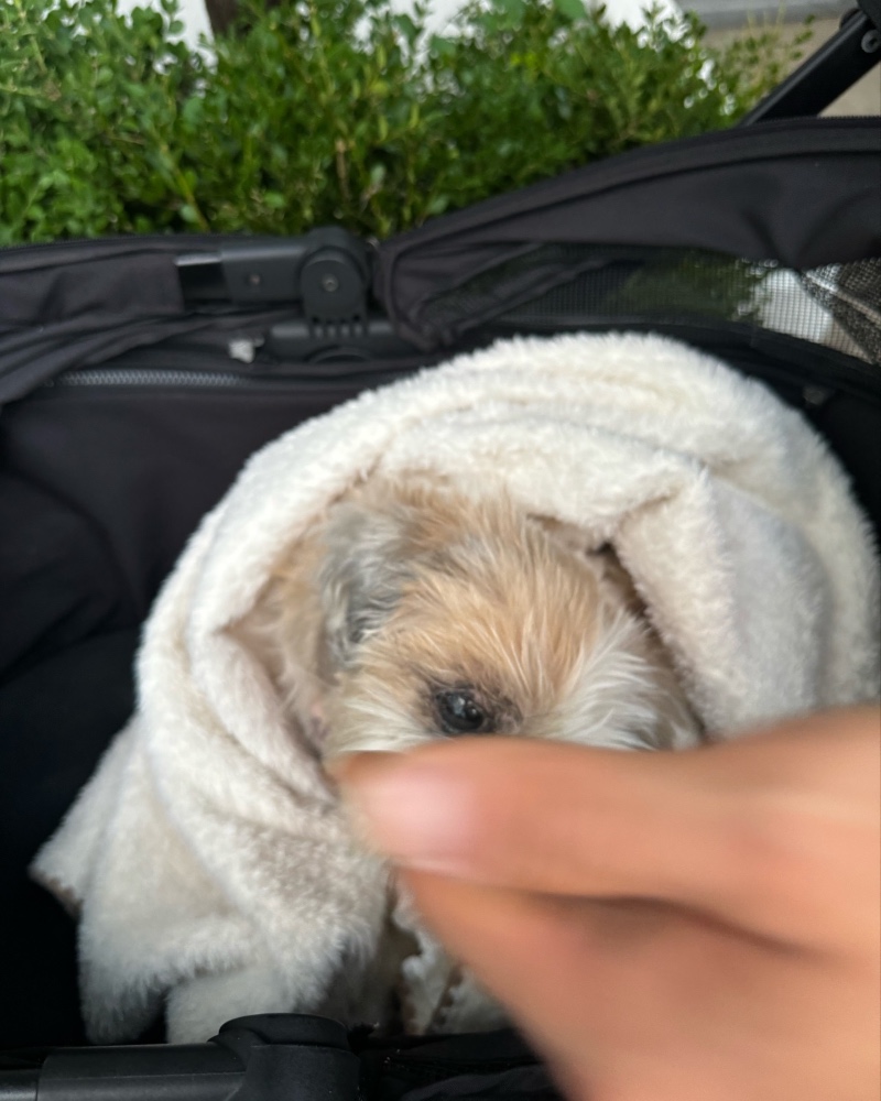 코산책 했어요!