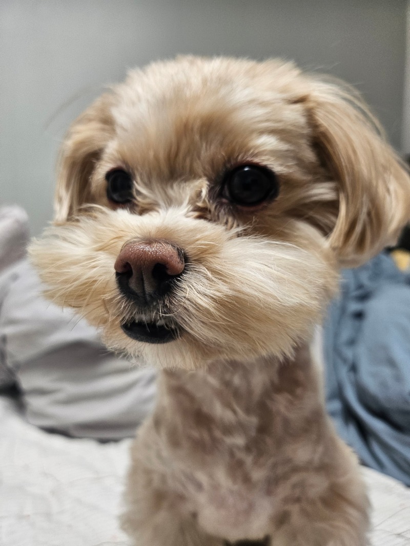 스포팅 럭키