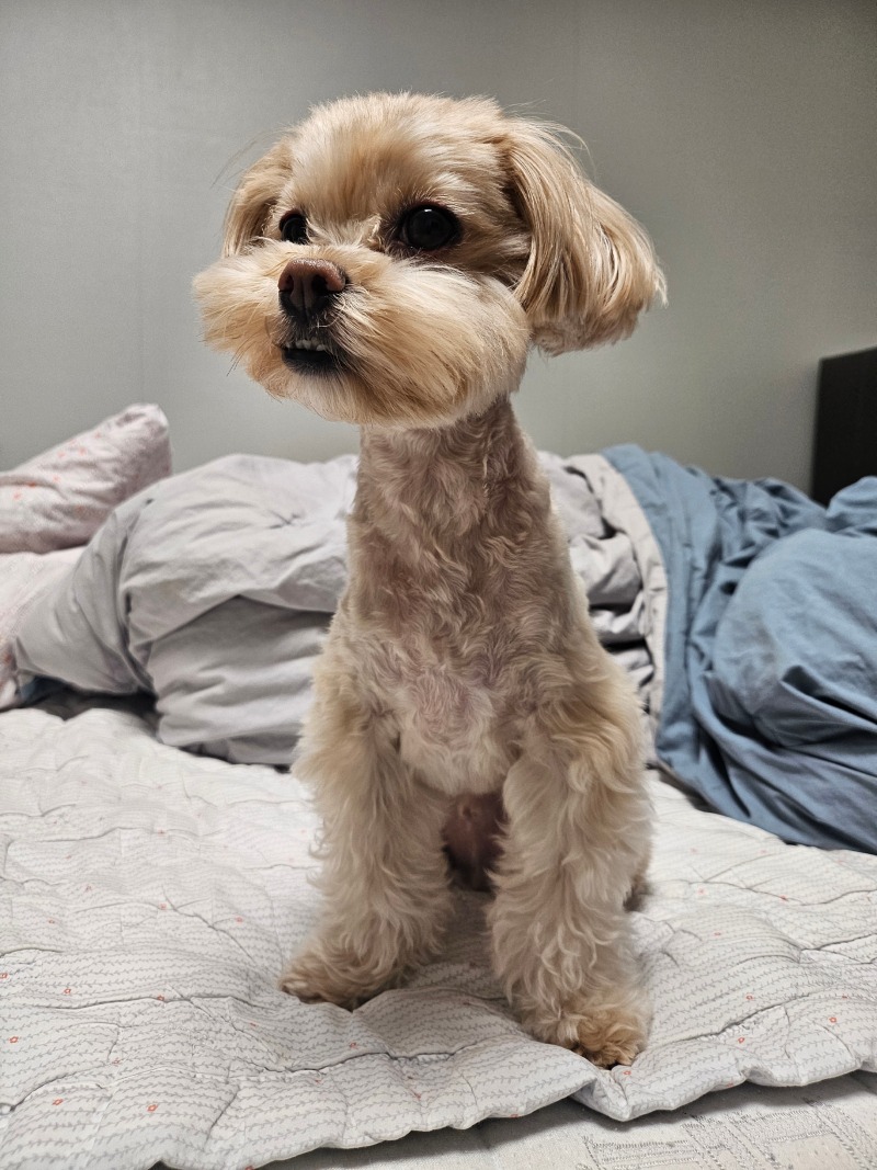 스포팅 럭키