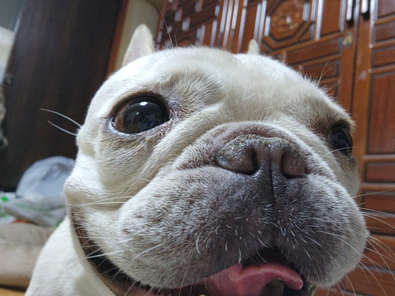 찐빵이일상
