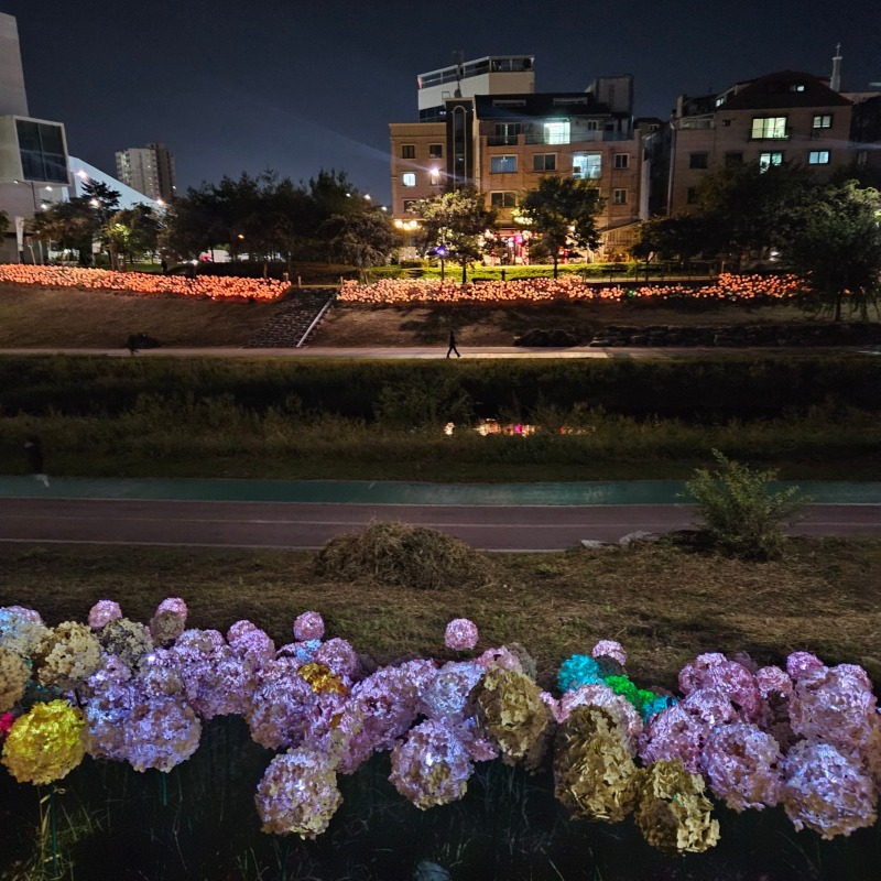 남양주 용암천6교 반려견 산책로