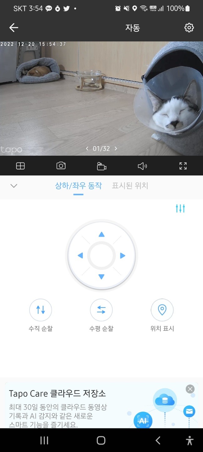 아깽이에서 성묘로 가는 길