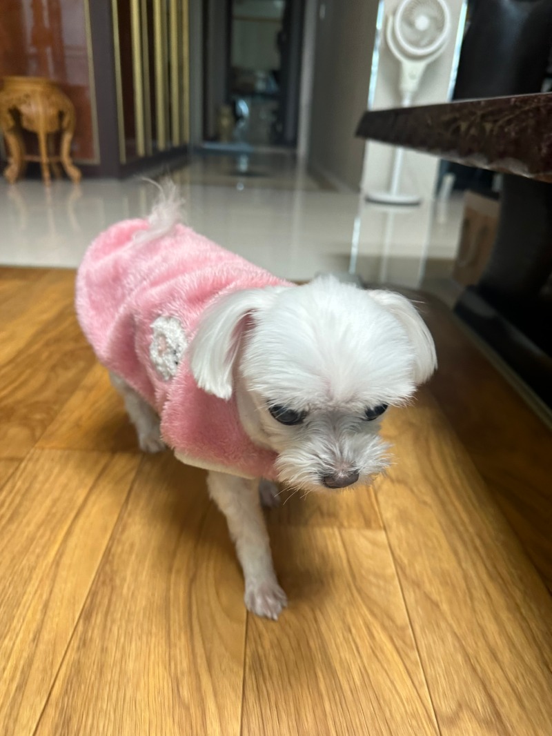 단비야~~