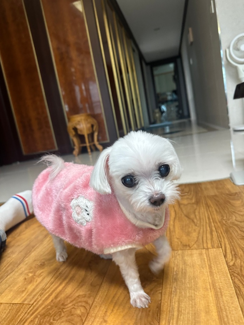 단비야~~