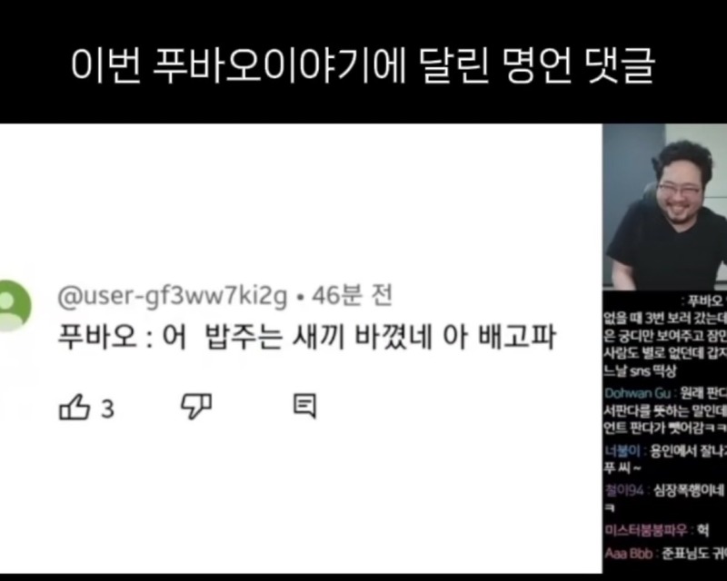 푸바오가 직접 밝히는 근황 