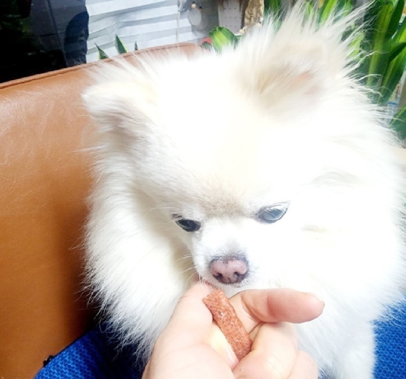 간식달라멍