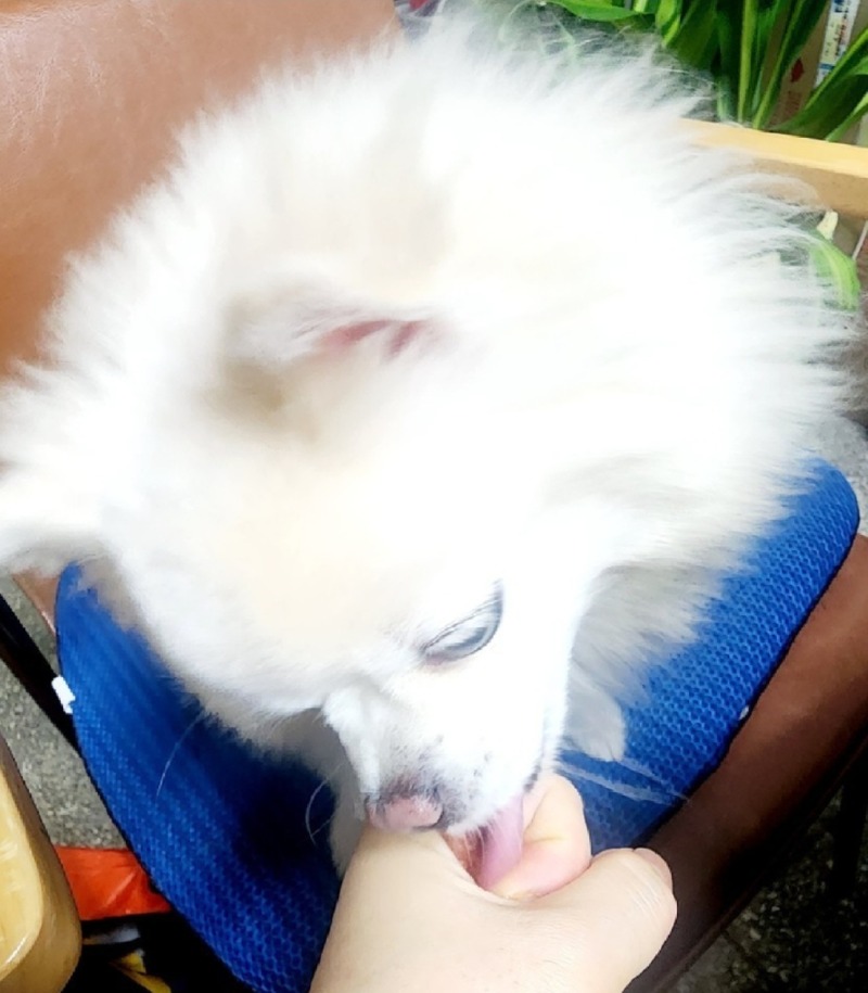 간식달라멍