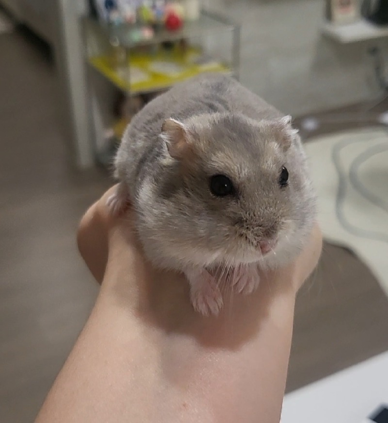 오늘도 검은콩 먹방중