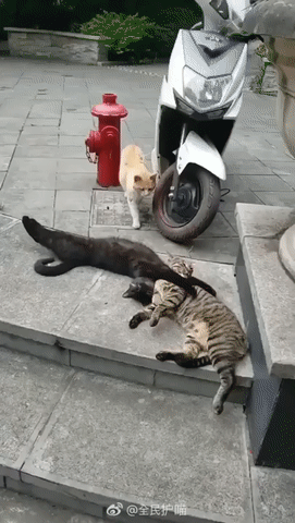 바람피는 장면을 그대로 목격... 