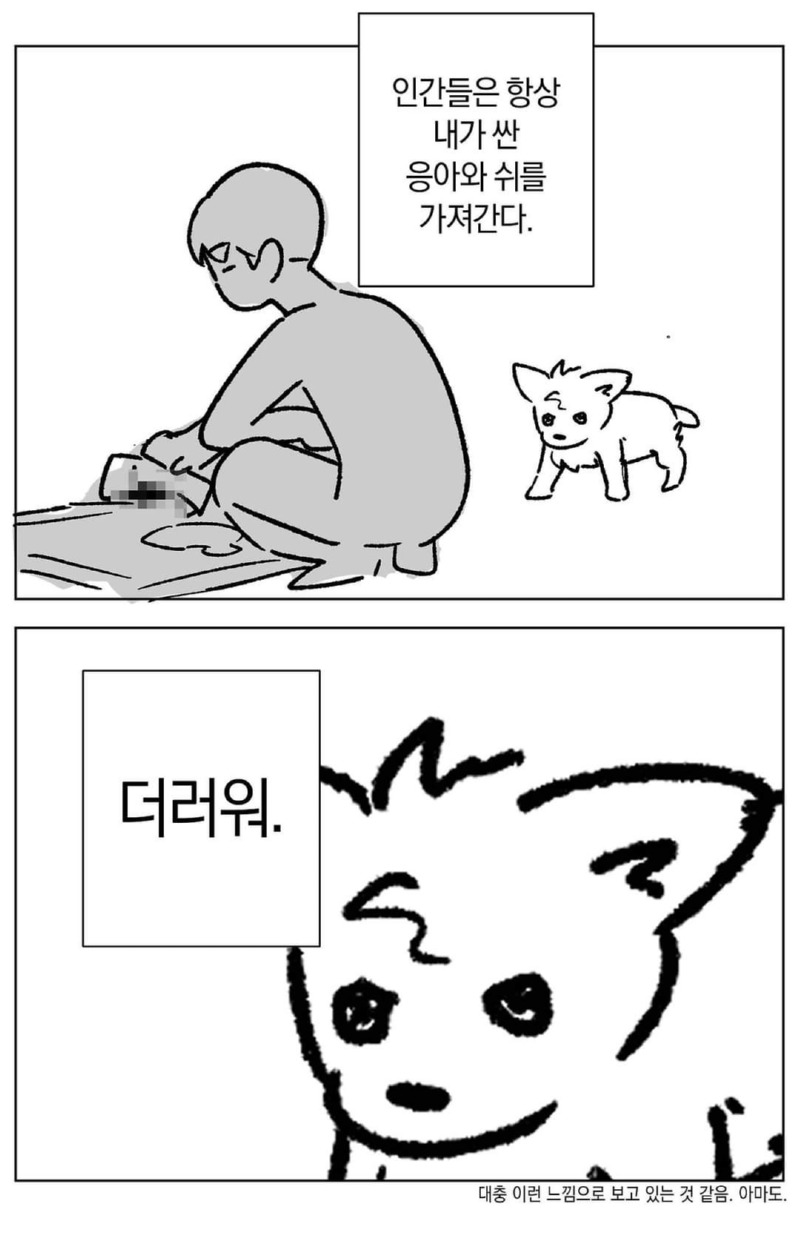 자기를 키우는 인간을 바라보는 댕댕이 시점