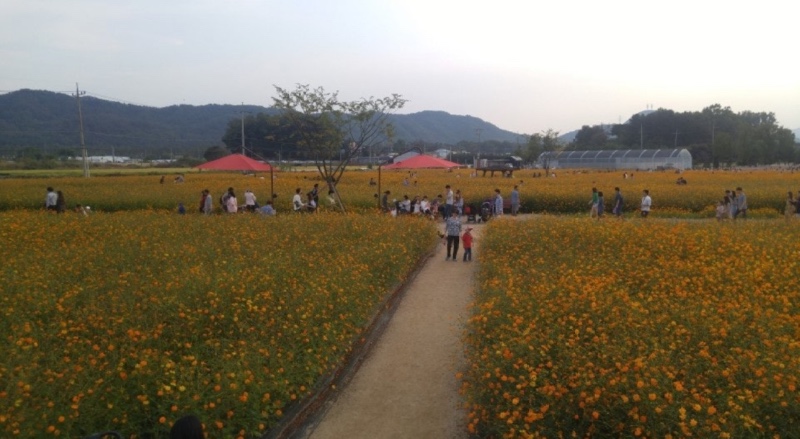 반려견 동반 나리공원 