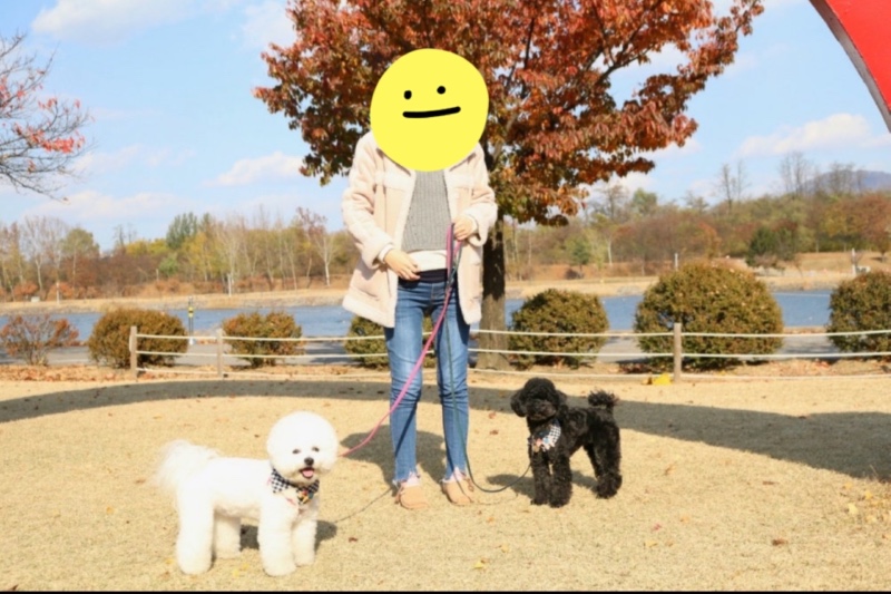 미사리 조정 경기장 반려견 동반 산책 