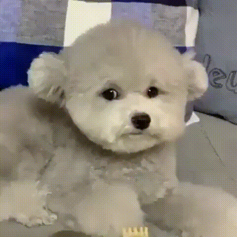 부장님 개그에 대한 반응