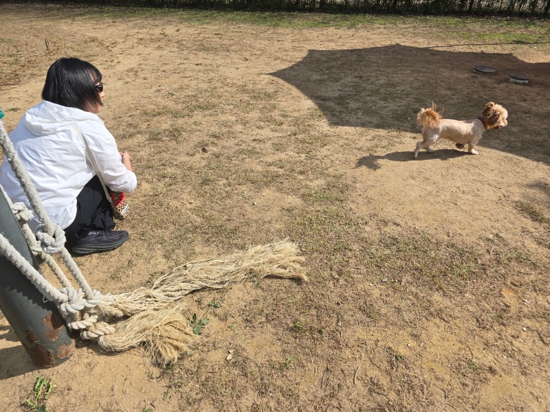 인천대공원에서 반려견놀이터 함께하기