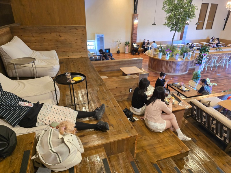 공주 애견동반카페 "카페미르" (밤크림라떼추천)