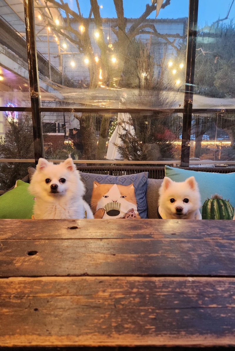 애깅ㅇㅇㅇㅇ