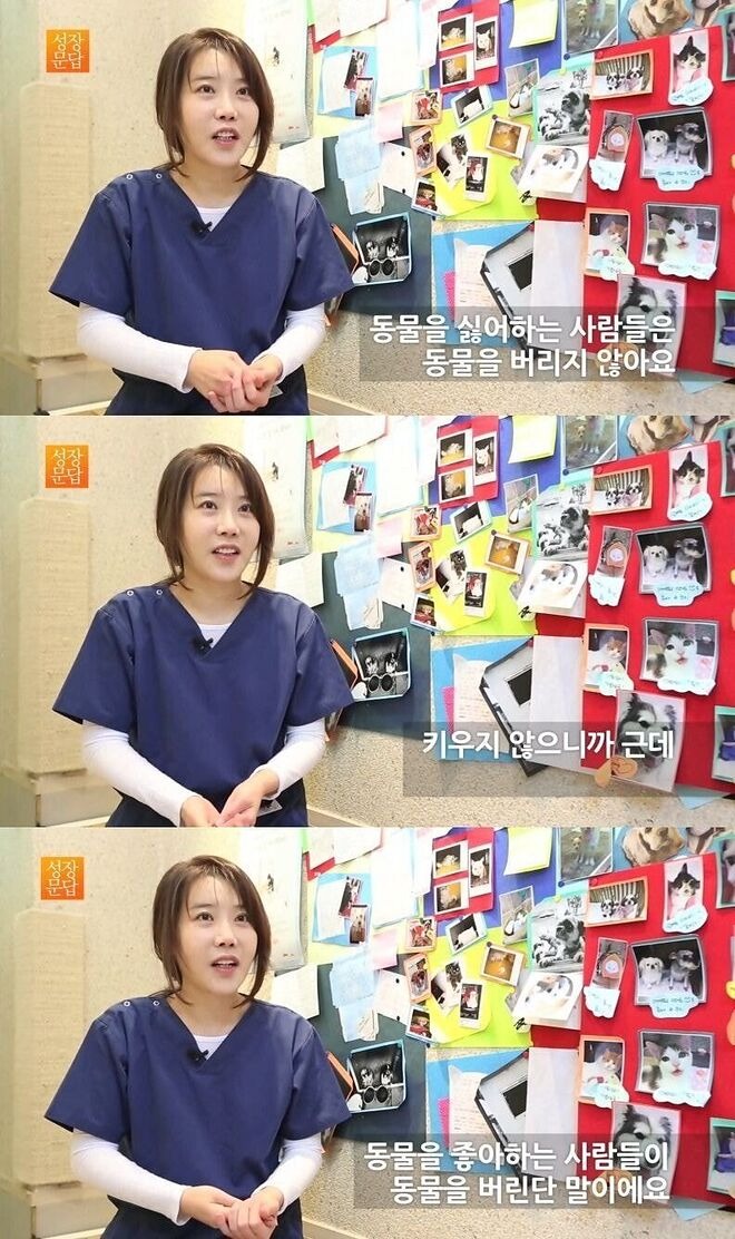 반려동물 보유세에 대한 고찰. (장문주의) 