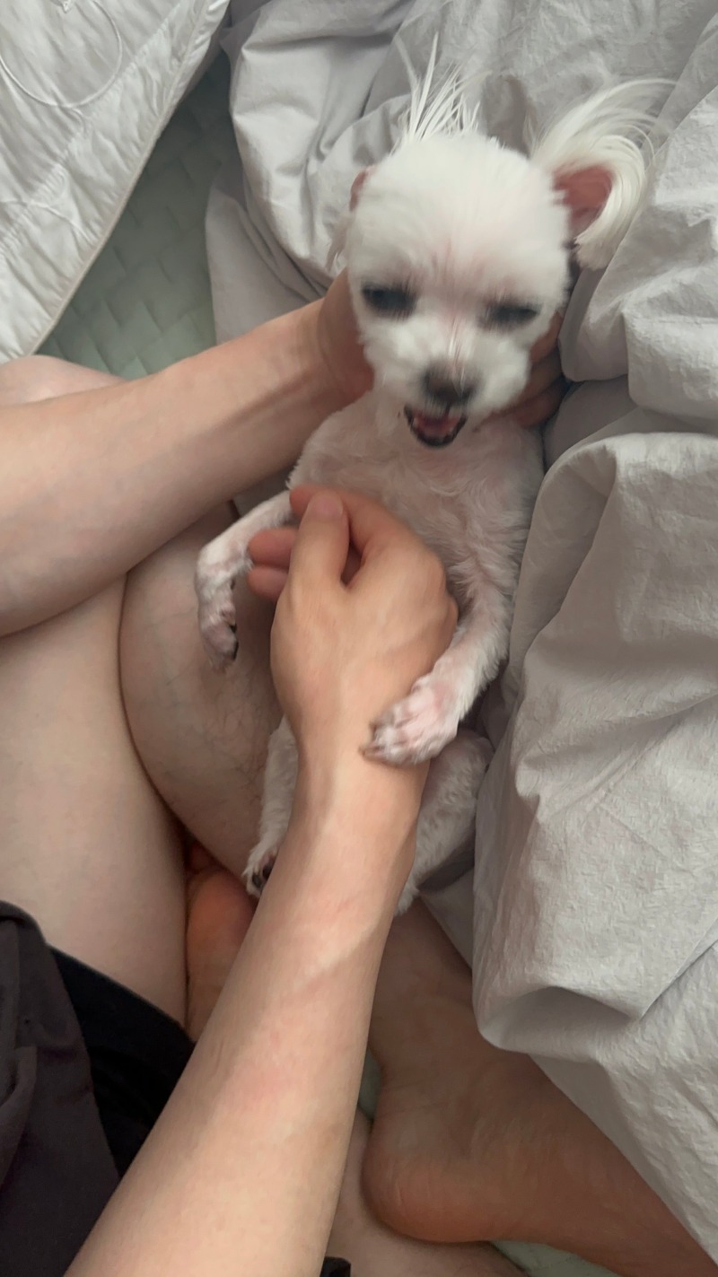 단비단비단비