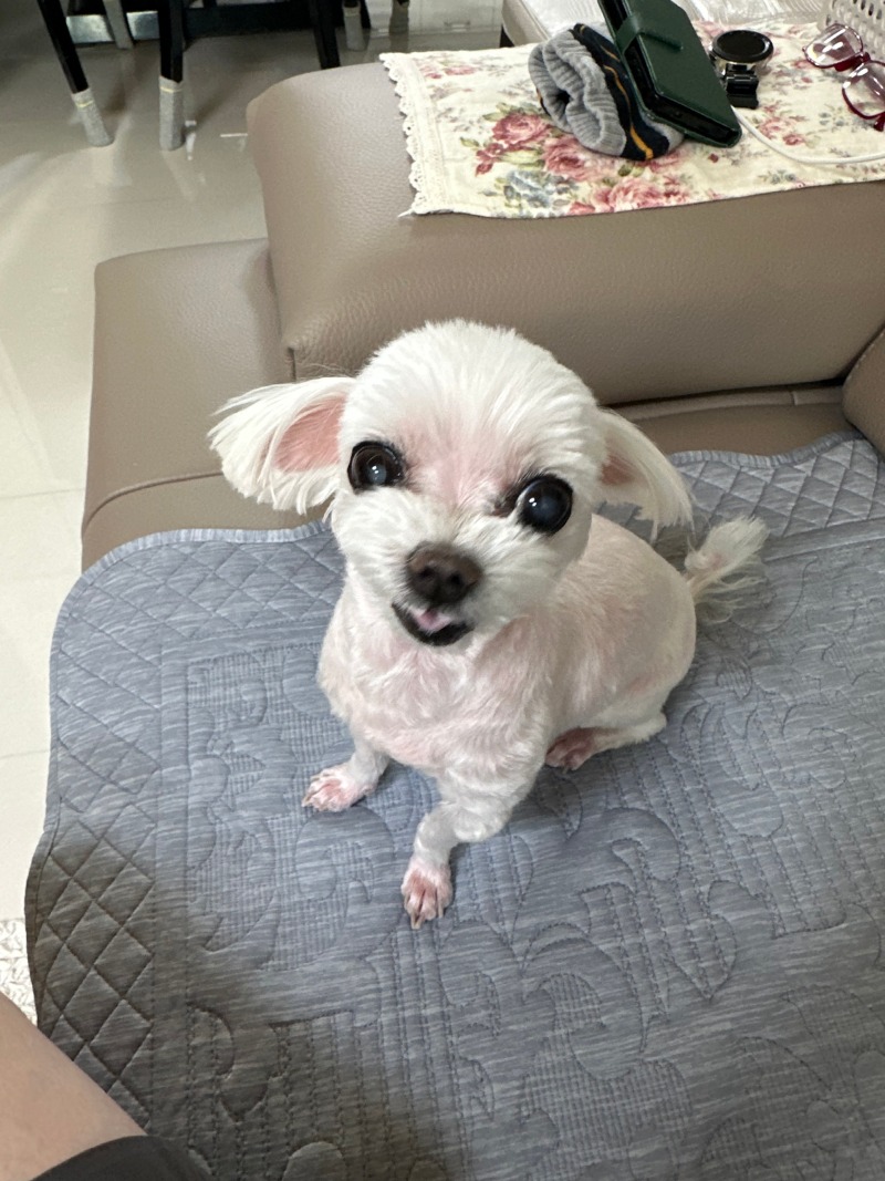 단비단비단비
